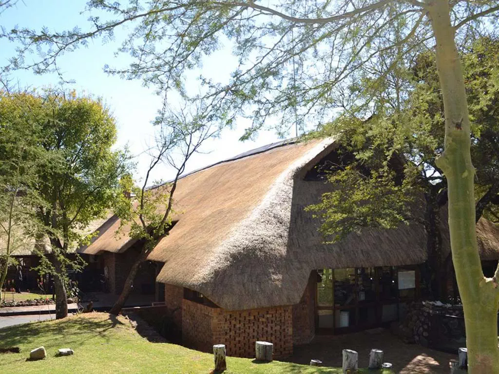 ccp-thatching-services-img1-v1