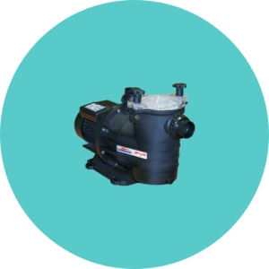 Pumps and spares